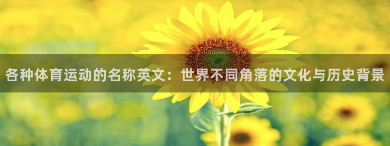 各种体育运动的名称英文：世界不同角落的文化与历史背景