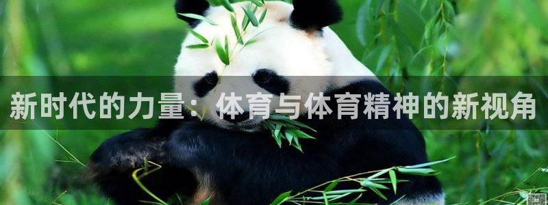 新时代的力量：体育与体育精神的新视角