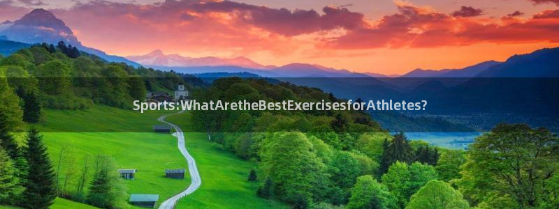 Sports:WhatAretheBestExercisesforAthletes?