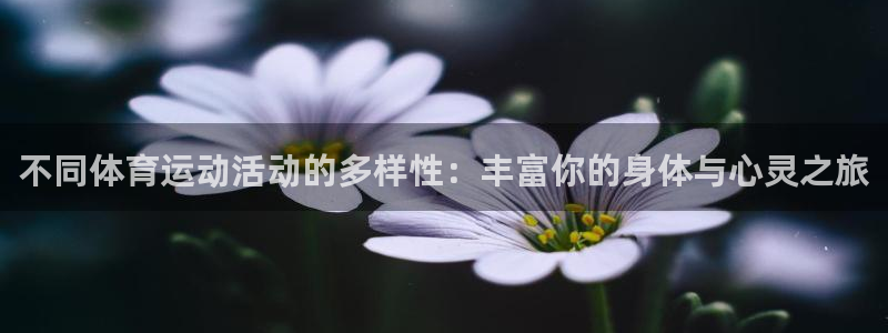 不同体育运动活动的多样性：丰富你的身体与心灵之旅